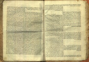 Pages 7–8